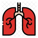 Lungs Lung Respiratory Icon