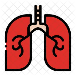 Lungs  Icon