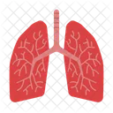 Lungs Icon