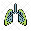 Lungs Organ Heart Icon