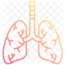 Lungs  Icon