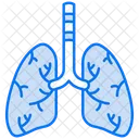 Lungs  Icon