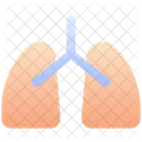 Lungs Organ Medical Icon