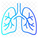 Lungs Icon