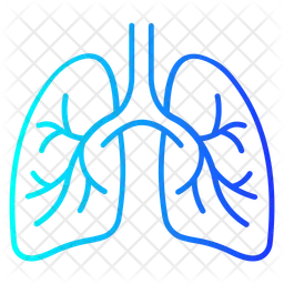 Lungs  Icon