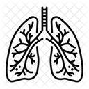 Lungs Organ Pulmonary Icon