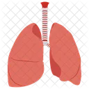 Lungs Pulmonary Veins Lung Health Icon