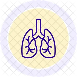 Lungs  Icon