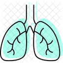 Lungs Color Shadow Thinline Icon Icon