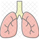 Lungs Lineal Color Icon Icon