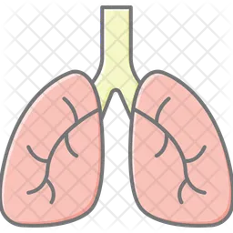 Lungs  Icon