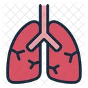 Lungs Respiratory Organ Icon