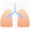 Lungs Organ Medical Icon