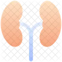 Lungs Organ Medical Icon