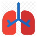Lungs  Icon