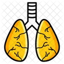 Lungs  Icon