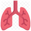 Anatomy Organ Biology Icon