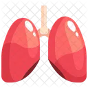 Lungs Organ Body Part Icône
