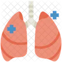 Lungs  Icon