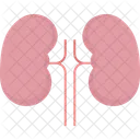 Lungs  Icône