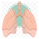 Lungs  Icon