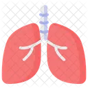 Lungs Anatomy Lung Icône
