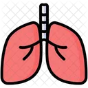 Lungs Anatomy Lung Icône