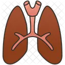 Lungs  Icon