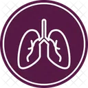 Lungs  Icon