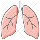 Lungs Awesome Lineal Color Icon 아이콘
