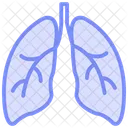 Lungs Color Outline Icon 아이콘