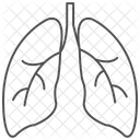 Lungs Grey Thin Line Icon 아이콘