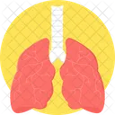 Lungs  Icon