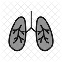 Lungs Infection Lungs Corona Icon