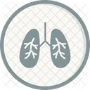 Lungs Infection  Icon