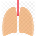 Lungs Medicine Dentist Icon