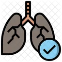 Healthcare And Medical Anatomy Lungs Icon