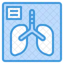 X Ray Lungs Anatomy Icon