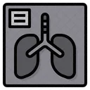 X Ray Lungs Anatomy Icon