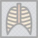 Lungs X Ray  Icon