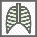 Lungs X Ray Lungs X Ray Icon
