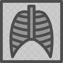 Lungs X Ray  Icon