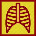 Lungs X Ray  Icon