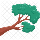 Lush Tree Branch  Icon