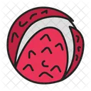 Lychee Fruit Food Icon