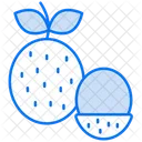 Lychee  Icon