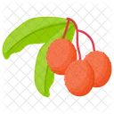 Lychee Lychee Fruit Berry Fruit Icon