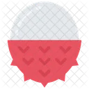 Lychee Food Eating Icon