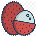 Lychee Icon