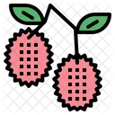 Lychee Fruit Fresh Icon